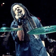 O cara que curte reggae, curte todos. O cara que curte O Rappa, é O Rappa e mais um ou outro! 
Dono:  @YuriRodrigs