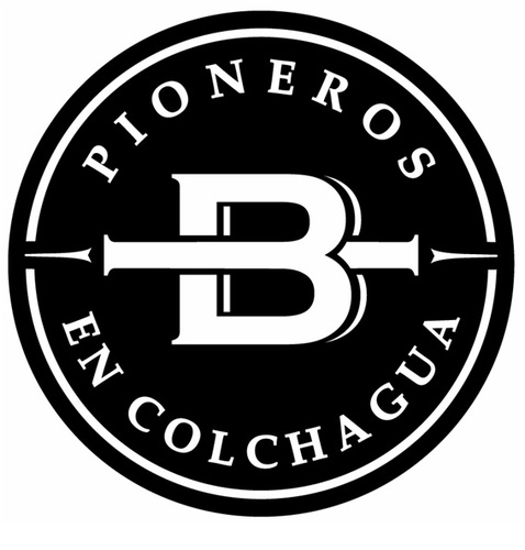 Pioneros en vinos premium de Colchagua, Chile.