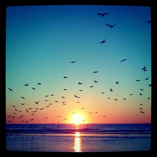 instagramphto's profile picture. 