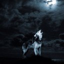 Edgar arvizu - @e_arvizu86 - Twitter