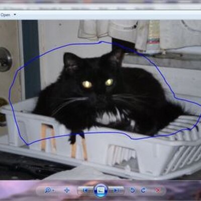 Nightlystar's profile image