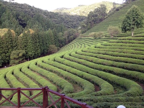 myall7's profile picture. 남/77/B/미혼
MY~ALL/마이올/내모든것
음악/영화/연극/스포츠/여행/아이폰/트위터/걷기/애니/일드