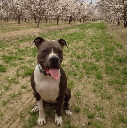 BrianGumm's profile picture. 