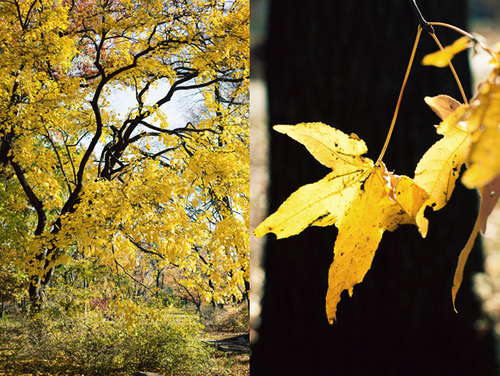 PolyanaCristin7's profile picture. 