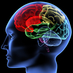 Neuroscience (@neuroscience36) Twitter profile photo