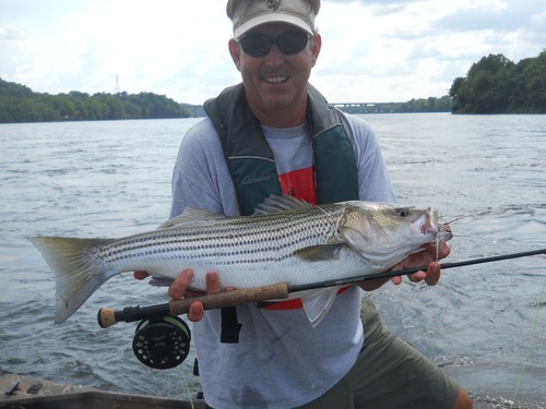 Haunted by tarpon