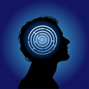 All the latest breaking news about Brain Science