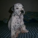 Johnn Harold Guzman - @jhguzmanor - Twitter