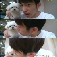 Park Jin Young [JR] (@jypjr_rf) 's Twitter Profile