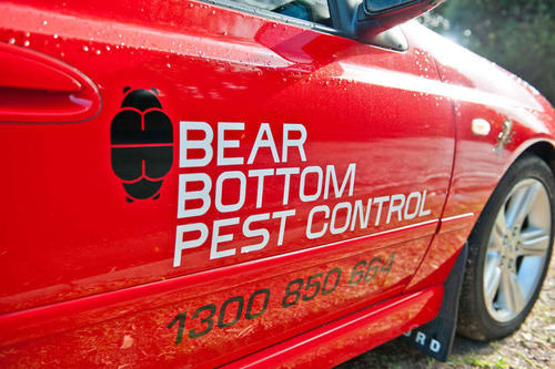 Bear Bottom Pest Control will ease the stress and provide peace of mind with a straightforward and thorough plan of action for termite and pest control.