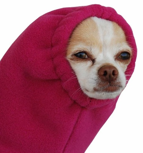 baylayyy3's profile picture. 