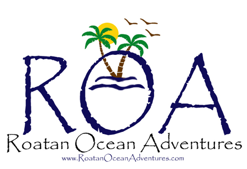 Roatan Ocean Adventures brings guest a unique way of enjoying there time here in Roatan.
