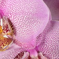 Duijn-Hove B.V. (@duijnhove) 's Twitter Profile