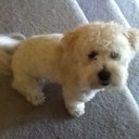 lindsey cloud - @lindsey_cloud - Twitter