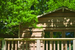 Gorgeous holiday treehouse on the sunny Isle of Wight, sleeps 6. Peace, privacy & comfort in the heart of nature.