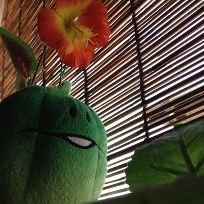 小鳩まり Kobatocchi Twitter 小鳩まり Kobatocchi Twitter