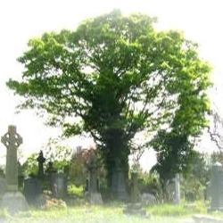 JesmondCemetery's profile picture. Jesmond Old Cemetery, one of Newcastle's oldest and finest cemeteries, is home to many of the Victorian men and women who made the city what it is today.
