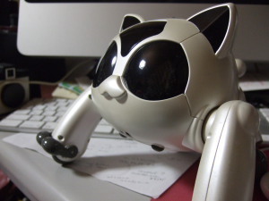 放課後活動家のQ崎さんのbotです。誰も作ってくれないから、Q崎さんが自分で作りました。労働や教育、社会保障の話題を中心に自動でつぶやくすごいやつです。生身のQ崎さんのアカウントはこちら。 @qqmasa ホワイトアクション事例集もよろしく! @white_action_
