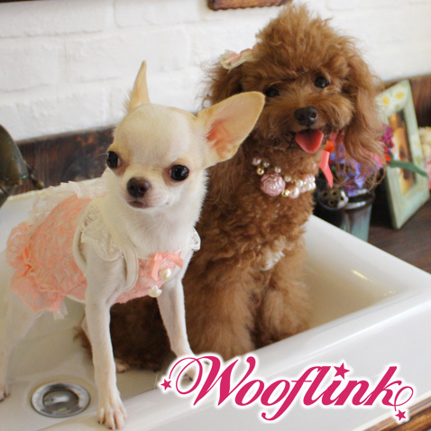 WOOFLINK's official twitter page ♥

COOL CLOTHES ARE NOT ONLY FOR PEOPLE ANYMORE!

Unique hip & sassy designer dog clothes and many other stuff ♥