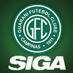 guarani feminino (@guarani_s) Twitter profile photo guarani feminino (@guarani_s) Twitter profile photo