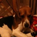 Mary Narvaéz - @MaryNg67 - Twitter