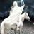 AAlmojtaba's profile image