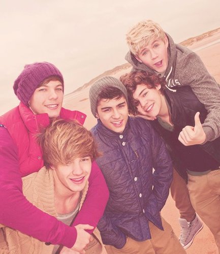 directioner..