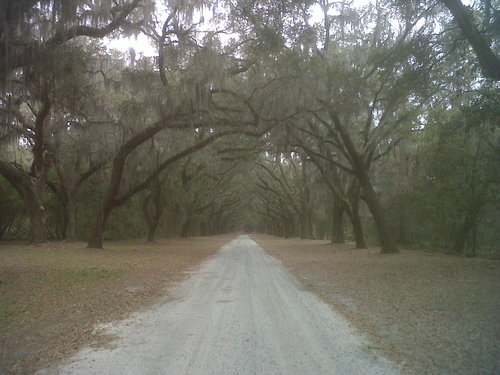 susanbregman's profile picture. what, me worry?