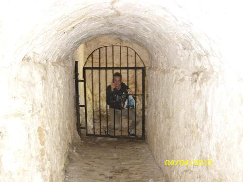 DClaughton01's profile picture. hi my name is Daniel. I like trees and i also study engineering