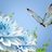 harish060689's profile image