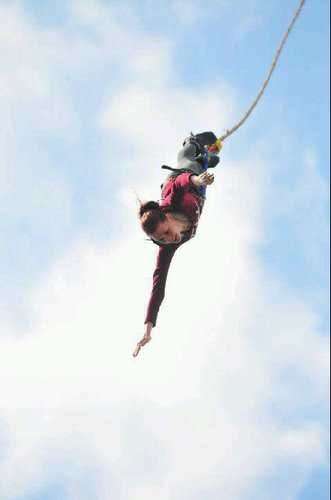 TeriColledge's profile picture. 