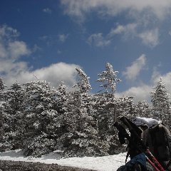 風呂上がりの牛乳、夕刻のIPAが好きです。山を歩いた後ならなおさら最高。