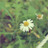 Event__ED's profile image