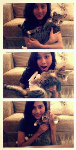 Thirteen, mixed and I like cats. Meow i‘m a Belieber #Swag