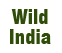 wildindia's profile picture. The place to book your Indian Wildlife Tour