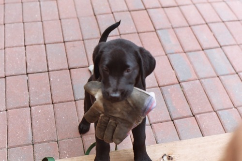 ontheteebox's profile picture. 