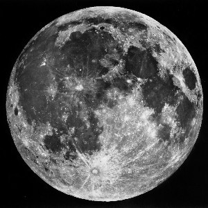 shamyra's profile picture. 🌒🌕🌘🌊🐝🍁🍃🐺🐾🦂🦄🐲💮🌱🌳🍵🍜🏊‍♀️🧘🏻‍♀️🌅📚💙💚🏳️‍🌈 ❤🧡💛💚💙💜🌈🏳️‍🌈💜💛💙