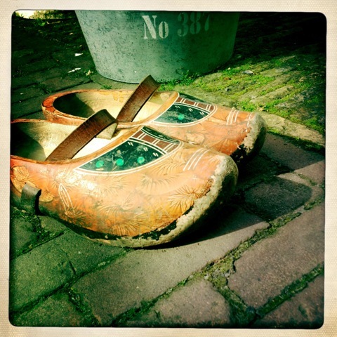 JanRoek's profile picture. Wâldpyk | baas @frisiantiles | geograaf | vogels en katten | luchtgitaar