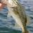big_bigangler95's profile image