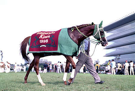 albelo48's profile picture. 週末は競馬関連の事をよく呟きます。1番好きな馬はサイレンススズカです。わけあって騎空士
古戦場頑張るゾイ