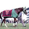 albelo48's profile picture. 週末は競馬関連の事をよく呟きます。1番好きな馬はサイレンススズカです。わけあって騎空士
古戦場頑張るゾイ
