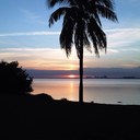 Robert Lepore - @RobertJL61 - Twitter