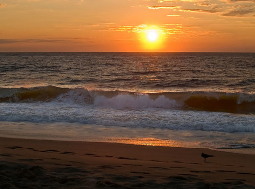 Big fan of sun and sand (and SPF). Nothing beats Ocean City, MD in the summertime and spending time with family.