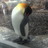 kiita_m's profile image