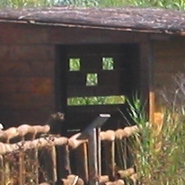 paddy_palmday's profile picture. music, culture, education, sustainability, coaching, sarcasm, photography, media, Nordic countries, „…schwimmen, reiten und lesen“