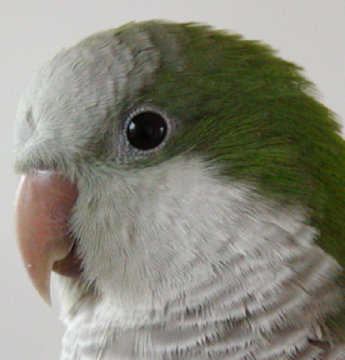 k2kash's profile picture. Trader. Photographer. https://t.co/Fm8qf9nU0M