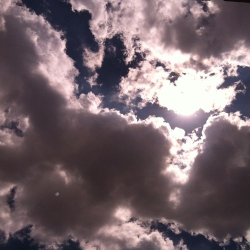 theresasanders's profile picture. Wife. Mom. Daughter. Teacher.