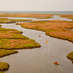 Chesapeake Bay Journal (@ChesBayJournal) Twitter profile photo