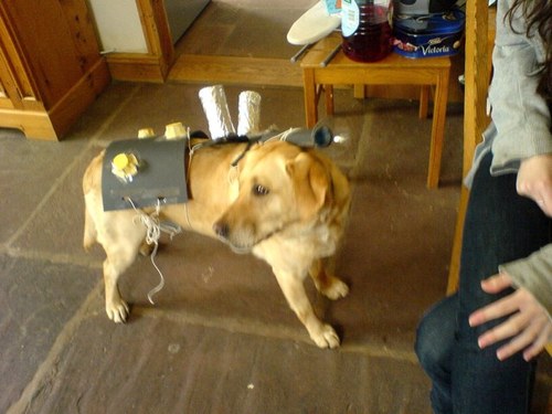 eve_s_w's profile picture. 