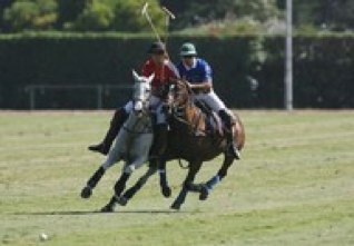 hajaigh's profile picture. Simplicity is the ultimate form of sophistication.